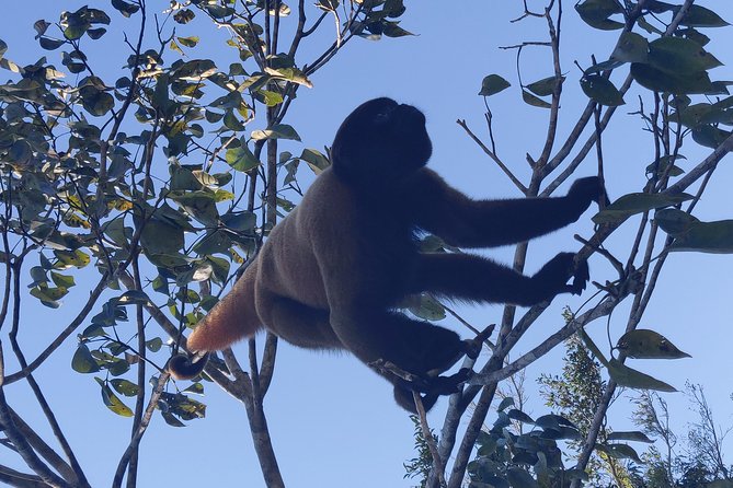 Amazonian Untamed in Pacaya Samiria National Park 3/ Days 2/ Nights 300 USD