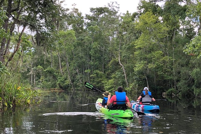 Amelia Island Kayak Self-Guided Tour  - Jacksonville - Good To Know