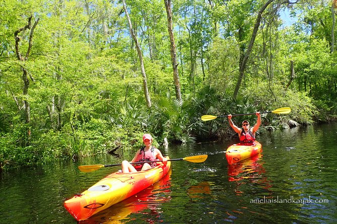 Amelia Island Kayaking Tour - Jacksonville