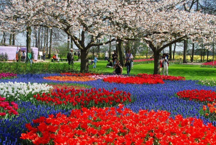 Amsterdam: Canal Cruise & Keukenhof Ticket With Shuttlebus - Good To Know