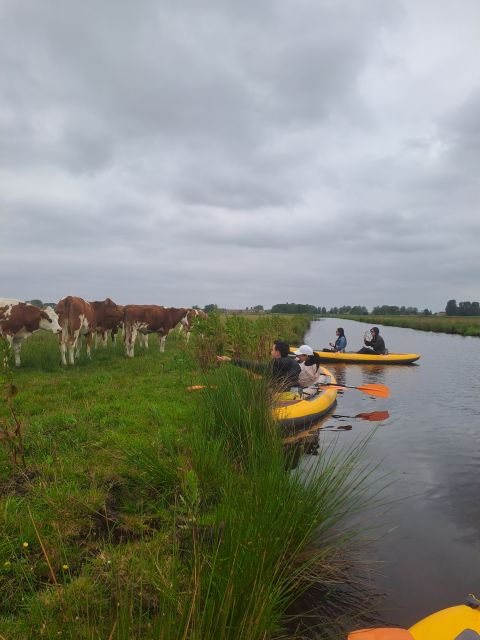 Amsterdam Countryside Bike and Kayak Tour - Good To Know