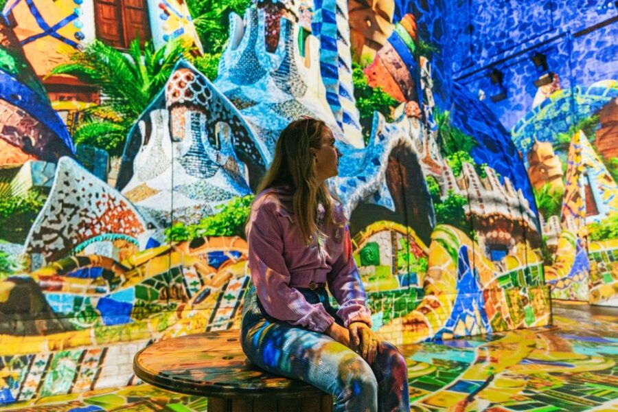 Amsterdam: Dalí & Gaudí Exhibit Ticket at Fabrique Des Lumières - Good To Know