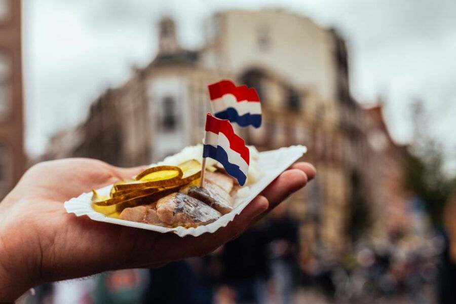 Amsterdam: Private Culinary Kickstart Tour - Good To Know