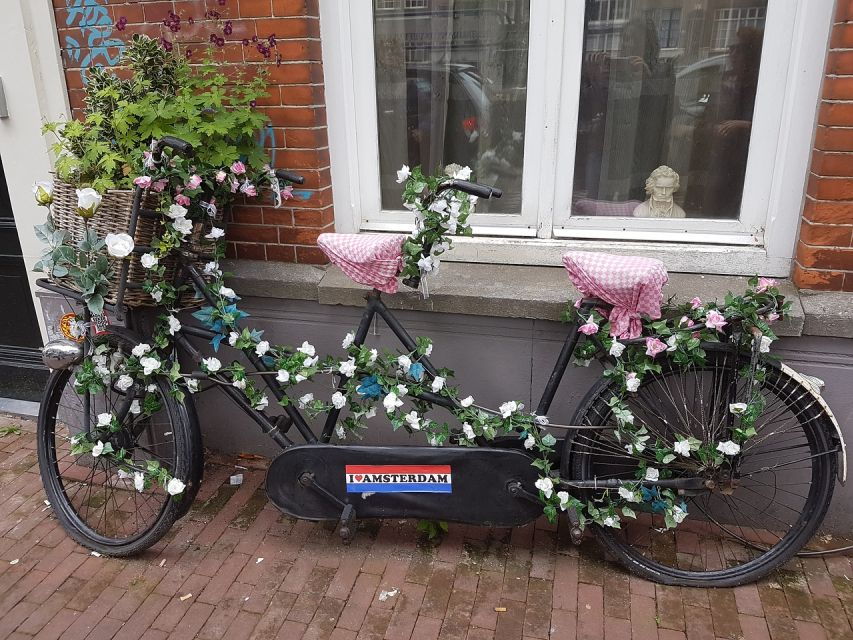 Amsterdam: Private Half-Day Countryside Bike Tour - Good To Know