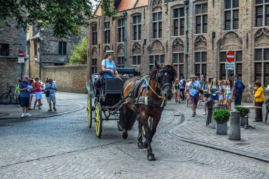 Amsterdam: Private Transfer to Bruges - Good To Know