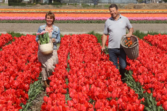 Amsterdam: Tour to Keukenhof, Tulip Farm Visit Windmill Cruise