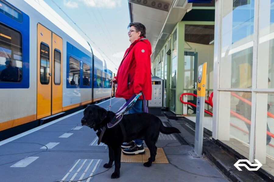 Amsterdam: Train Transfer Schiphol Airport From/To Rotterdam - Good To Know