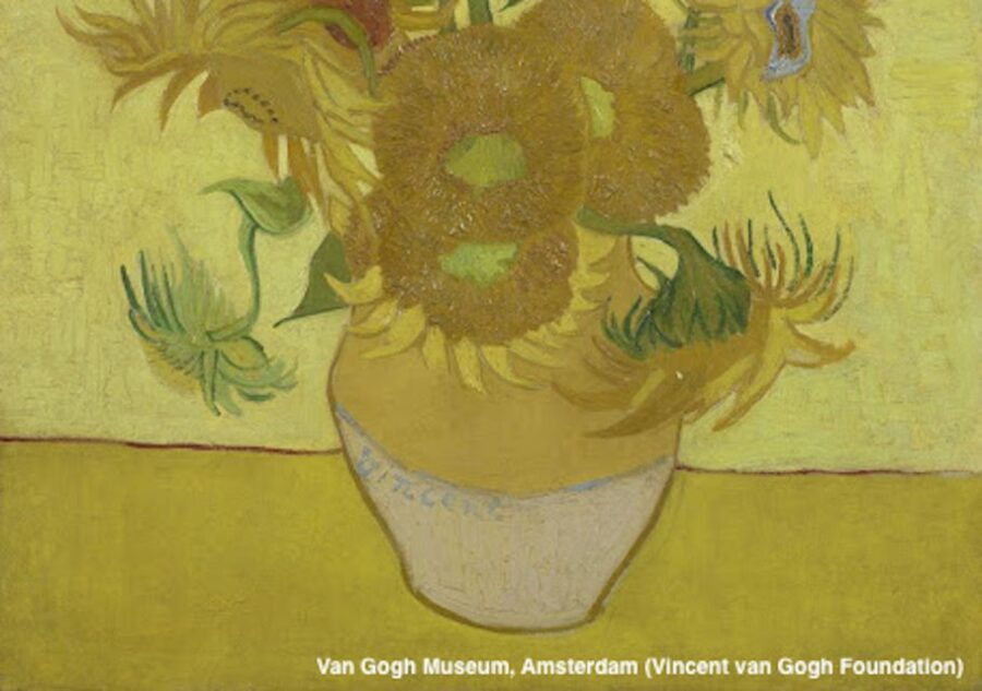 Amsterdam: Van Gogh Museum Guided Tour With Entry - Good To Know