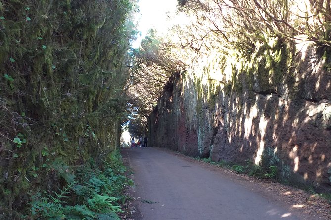 Anaga the Enigmatic Forest - Good To Know