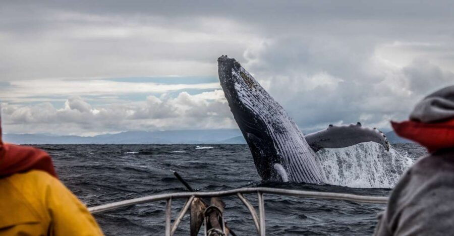 Anchorage: Kenai Fjords & Denali National Park 5 Day Tour - Good To Know