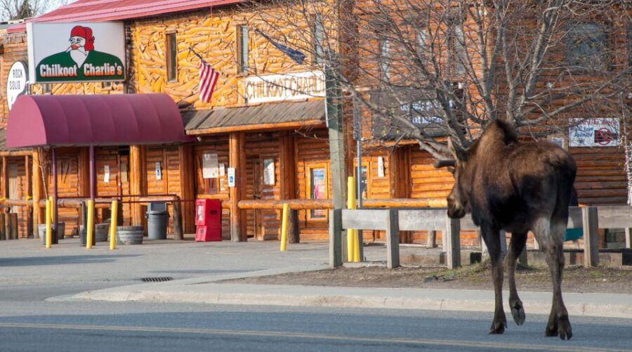 Anchorage: Spenard Area True Crime Walking Tour - Good To Know