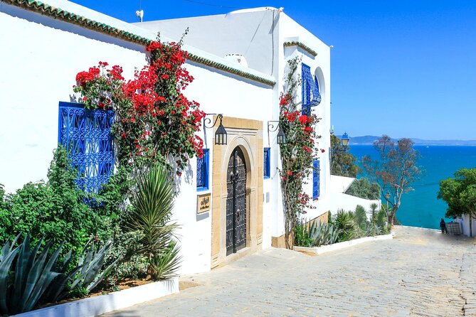 Ancient Carthage and Sidi Bou Said Half Day Tour With Lunch - Exploring the Charming Village of Sidi Bou Said