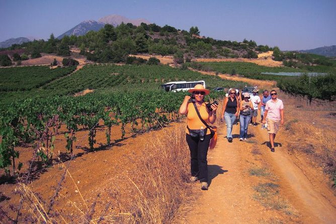 Ancient Nemea&Wine Tasting Nafplio Full Day Private Tour 8seat - Good To Know
