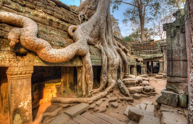 Angkor Wat Bayon Ta Prohm Temple Shared Tour