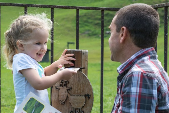 Animal Hide and Seek - Le Reposoir - Overview of Animal Hide and Seek - Le Reposoir