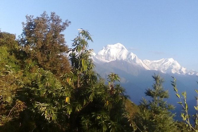 Annapurna Base Camp Trek 7 Days - Trekking Duration