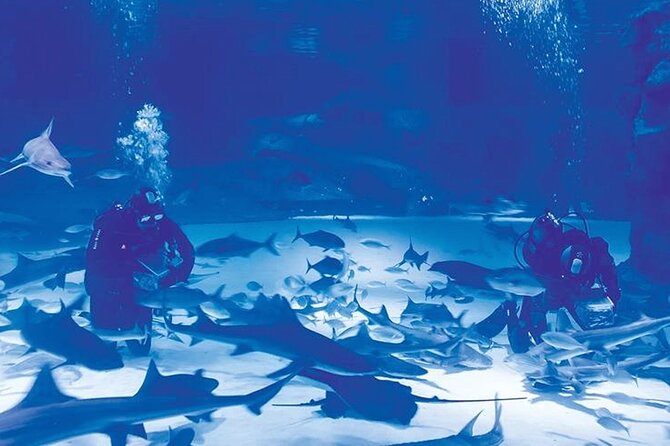 Antalya Aquarium Full-Day Trip