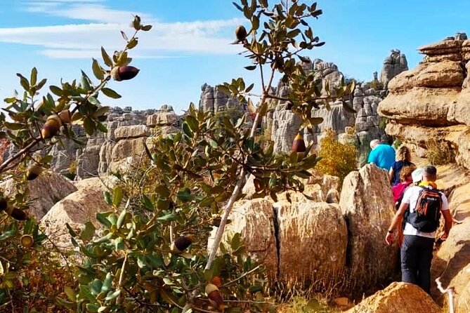 Antequera and Torcal Small Group Tour With Pick up - Good To Know