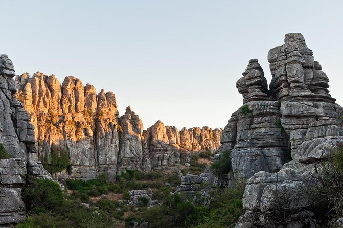 Antequera Classic Winery Tour