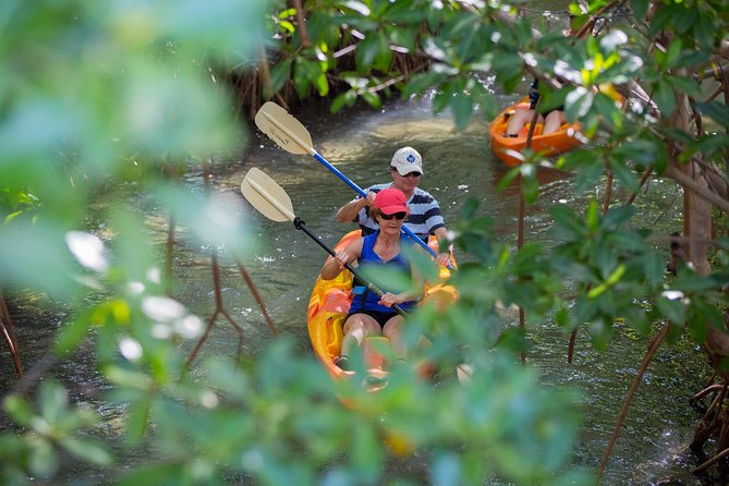 Antigua Kayaking and Reef Snorkeling Half-Day Tour