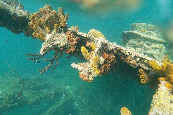 antilla shipwreck seabob tour