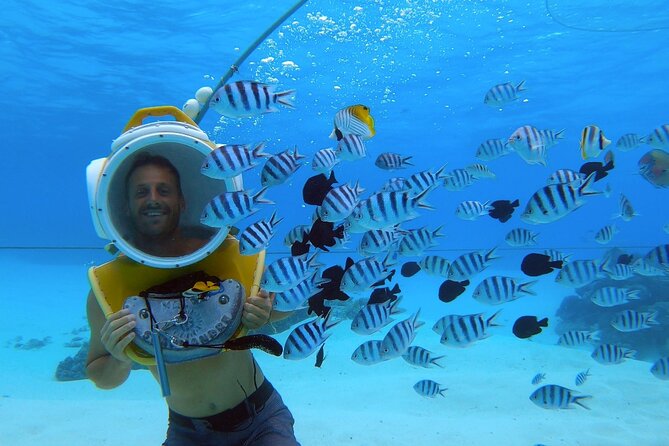7 Best Safari Tours In Bora Bora