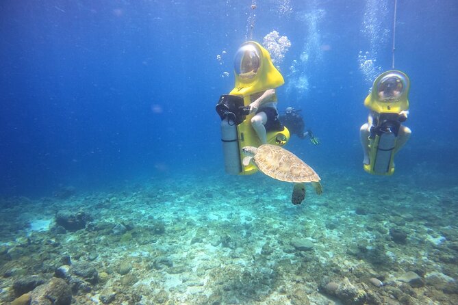 Aquafari Tour in Curaçao - Overview and Experience