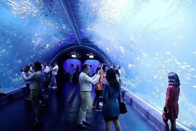 Aquaria Phuket - INTER MARKET