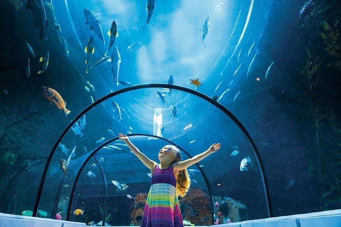 Aquarium Du Quebec: a Playground Overflowing With Life!