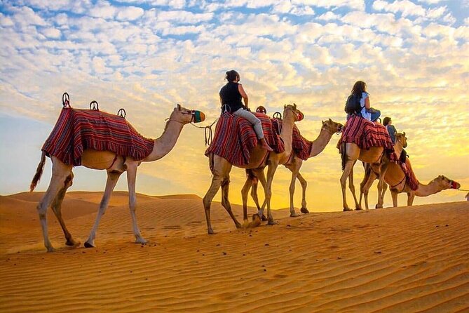 Arabian Desert Safari Dubai With BBQ Dinner & Live Shows - Stunning Sunset Views in the Desert