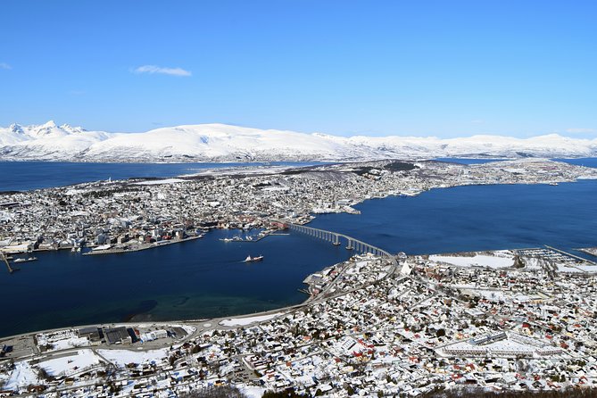Arctic Panorama Cable Car Excursion