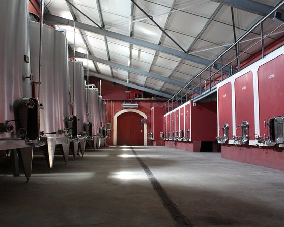 Ardèche Wine Estate Visit - France