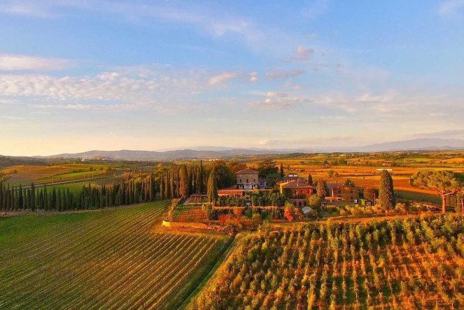 Arezzo: Wine Tasting Experience in Valdichiana Area