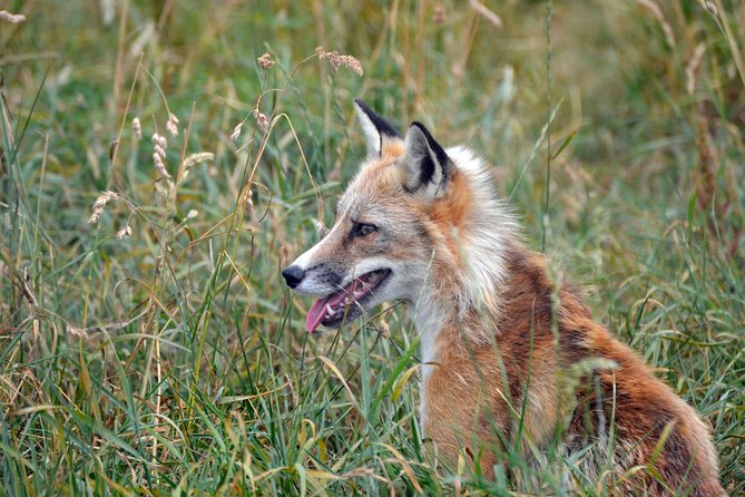 Ark Wildlife Park Family Entry Package for Four  – East Midlands