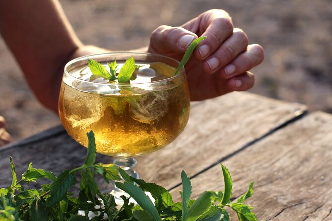 Aromatic Experience in the Medicinal Garden in Ibiza