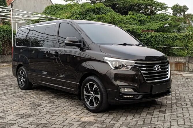 Arrival Private Transfer From Alicante Airport ALC to Alicante City by Minivan - Good To Know