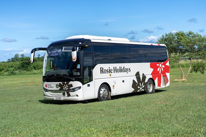 Arrival Shared Transfer : Airport to Hotel