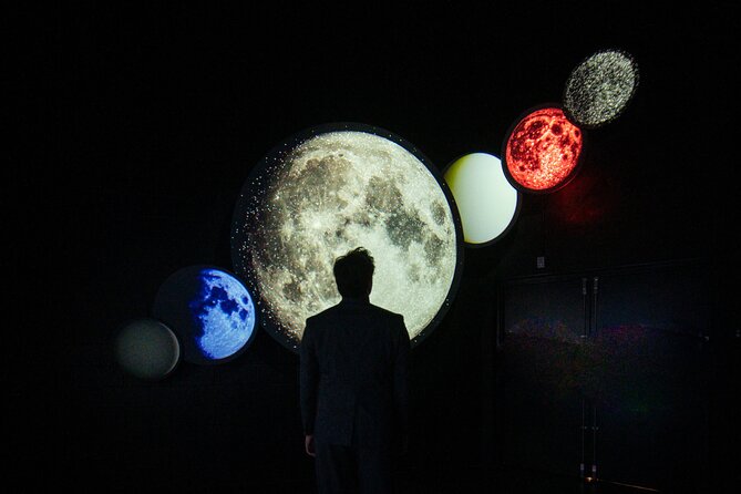 ARTECHOUSE: Beyond the Light Reserved Entry Ticket - Exhibition Highlights