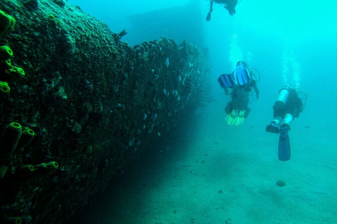 Aruba 2-Tank Dives Certified Divers Experience