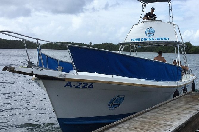 Aruba 2-Tank Guided Dive for Certified Divers With Rental Equipment - Good To Know