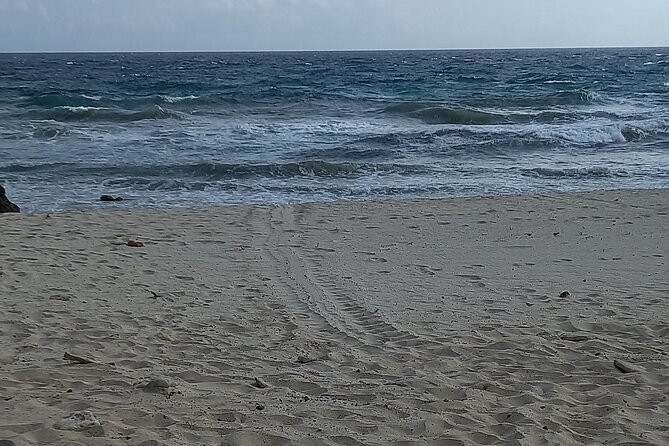 Aruba Early Morning Gold Mine Ruins Walk and Guided Meditation - Overview
