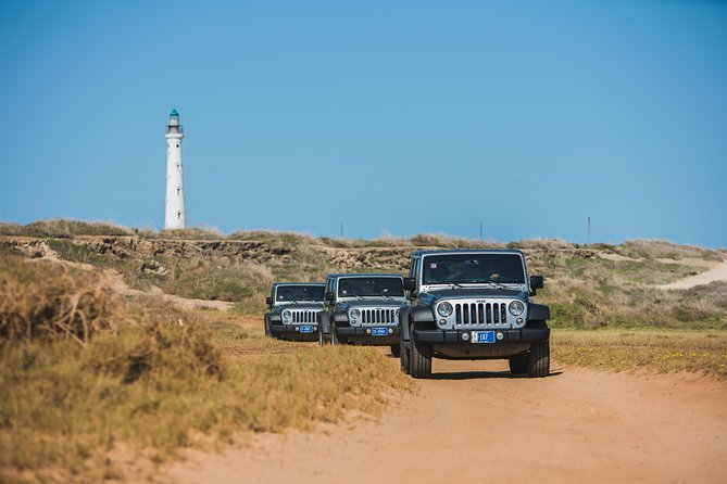 Aruba Off-Road Adventure: Jeep Tour and Optional Snorkeling Cruise