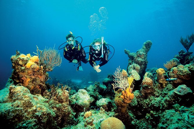 Aruba Red Sail Sports One or Two Tank Scuba Dive - Booking and Convenience