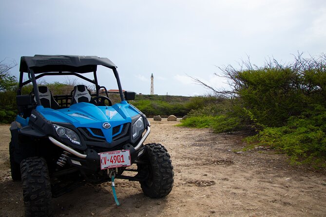 Aruba UTV Small-Group Tour