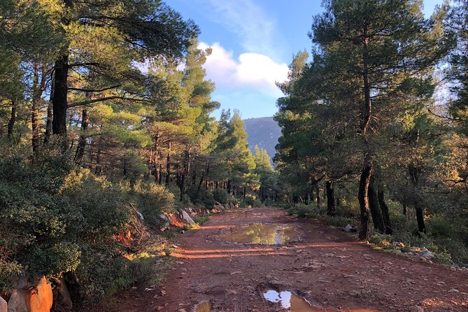 Athens Backcountry Shore Excursion to Parnitha Mountain - Duration and Pick-up Point