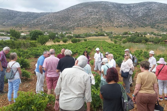 Athens Private Wine Tour and Lunch in a Seaside Tavern - Good To Know
