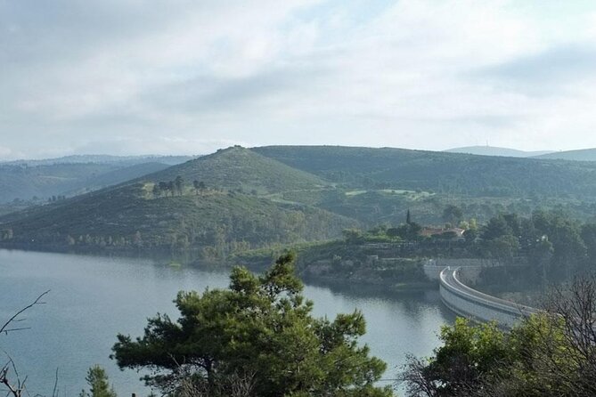 Athens to Marathon Private Tour - Pricing and Booking Details