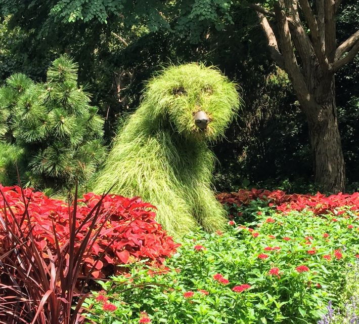Atlanta: A City in a Forest Private Nature Tour - Good To Know