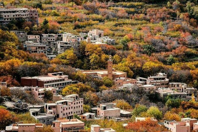 Atlas Mountains And Agafay Desert Small Group Day Trip - Marrakech - Good To Know