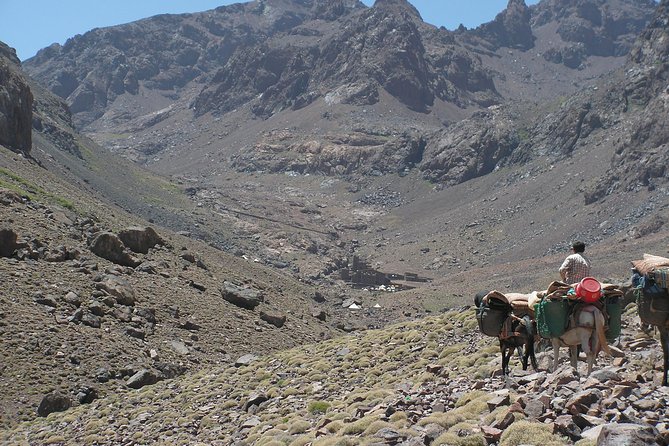 Atlas Mountains Day Tour With Camel Ride - Good To Know